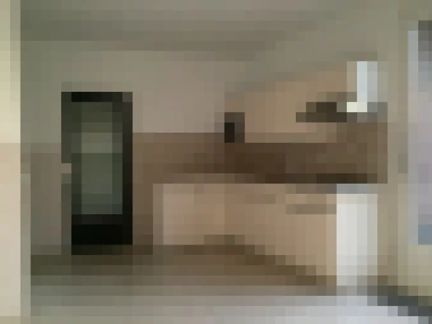 De Horstjens 14 Veghel thumbnail 10