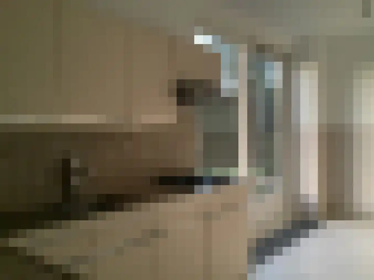 De Horstjens 14 Veghel thumbnail 11