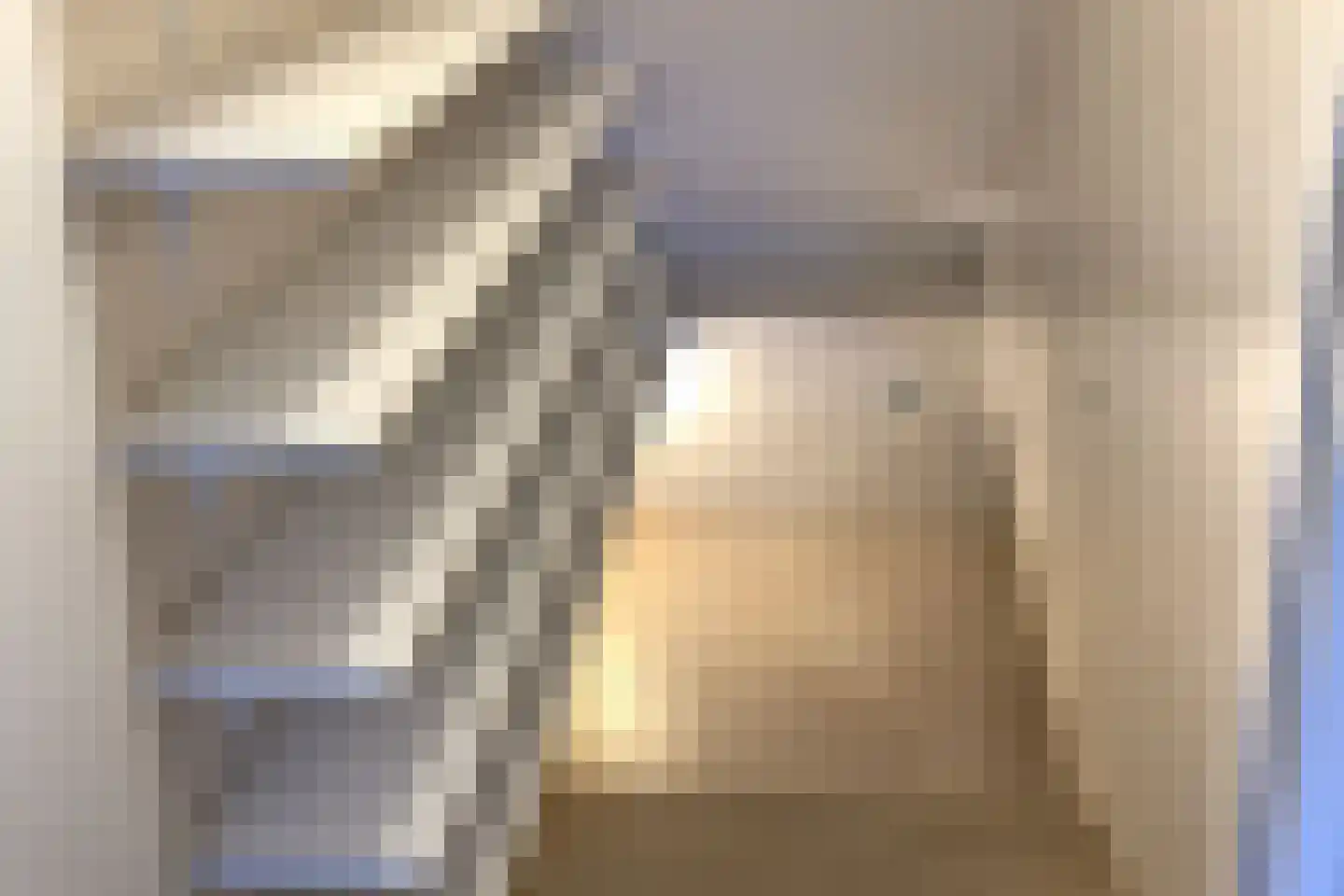 De Horstjens 14 Veghel thumbnail 12