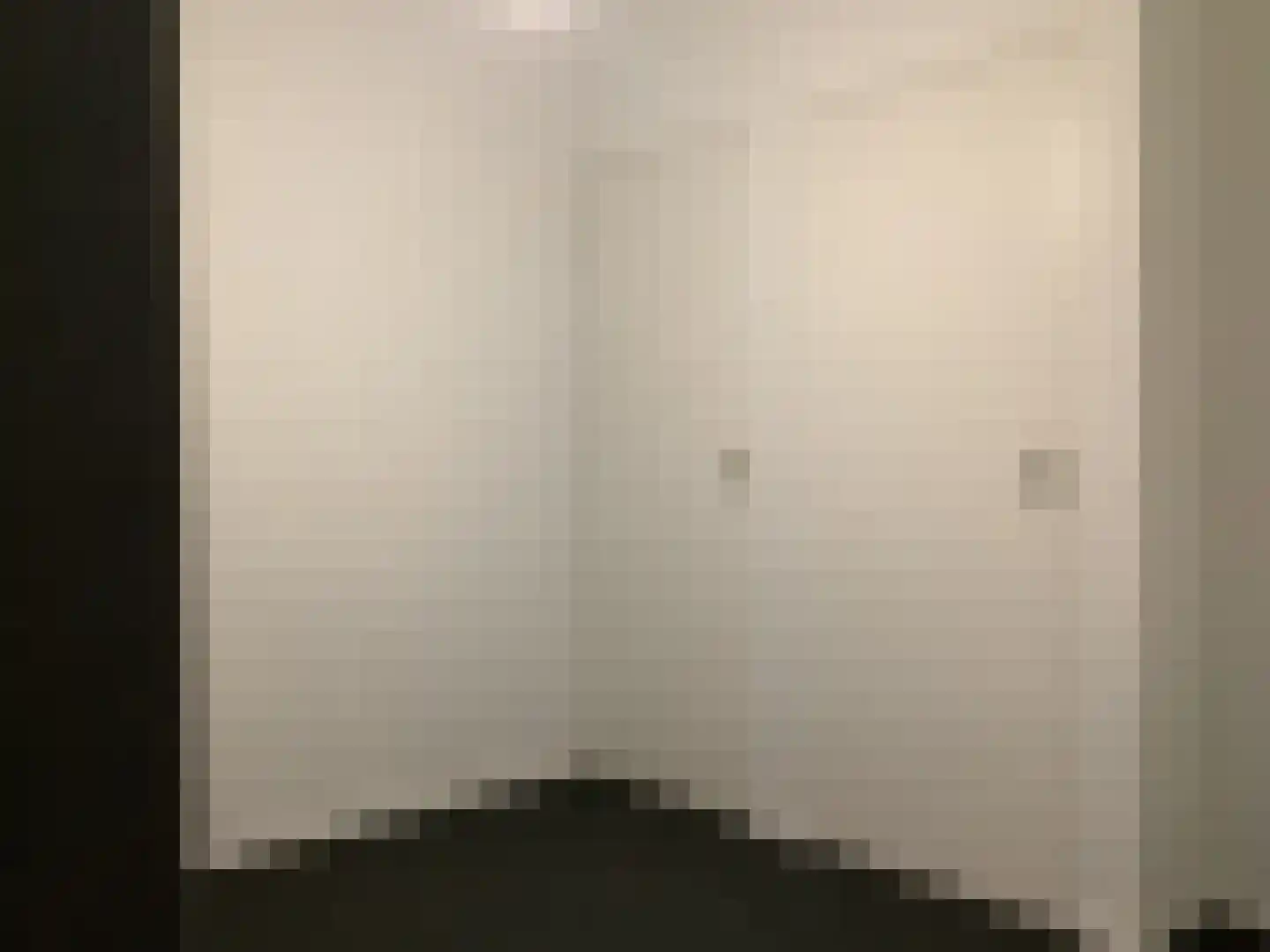 De Horstjens 14 Veghel thumbnail 18