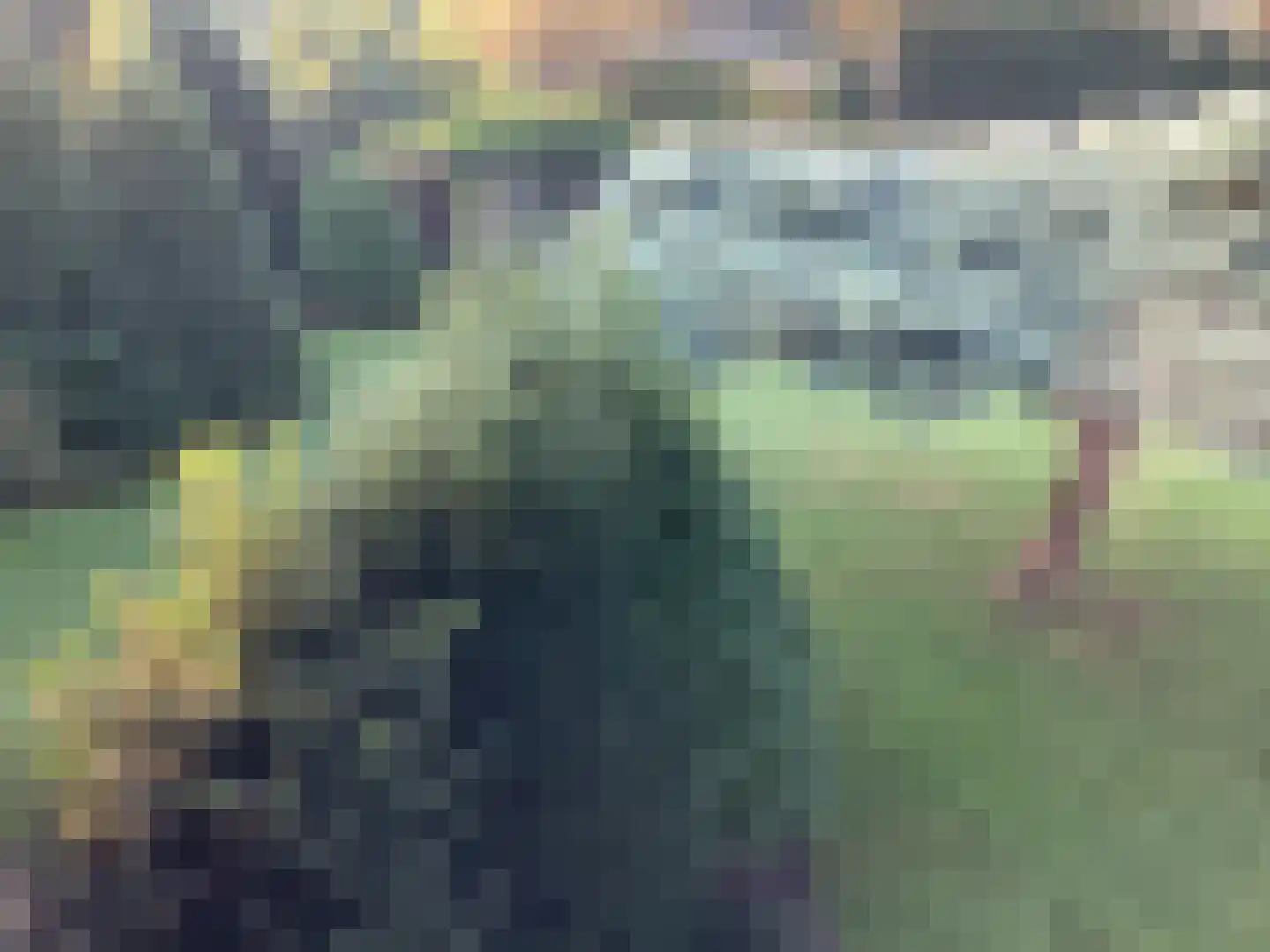 De Horstjens 14 Veghel thumbnail 24