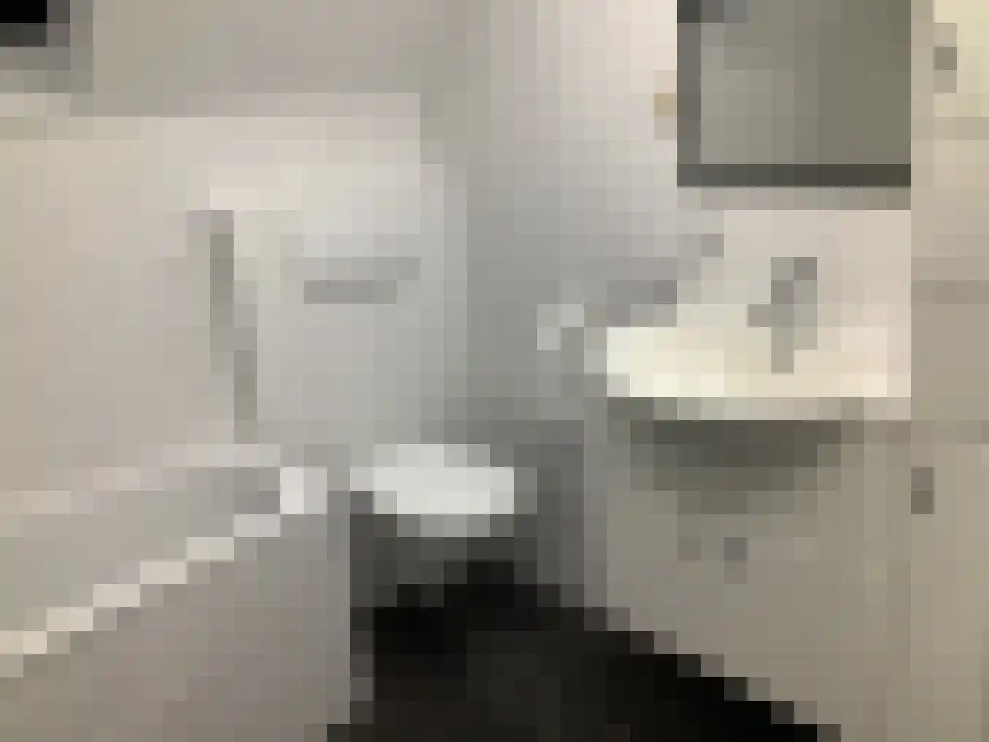 De Horstjens 14 Veghel thumbnail 26