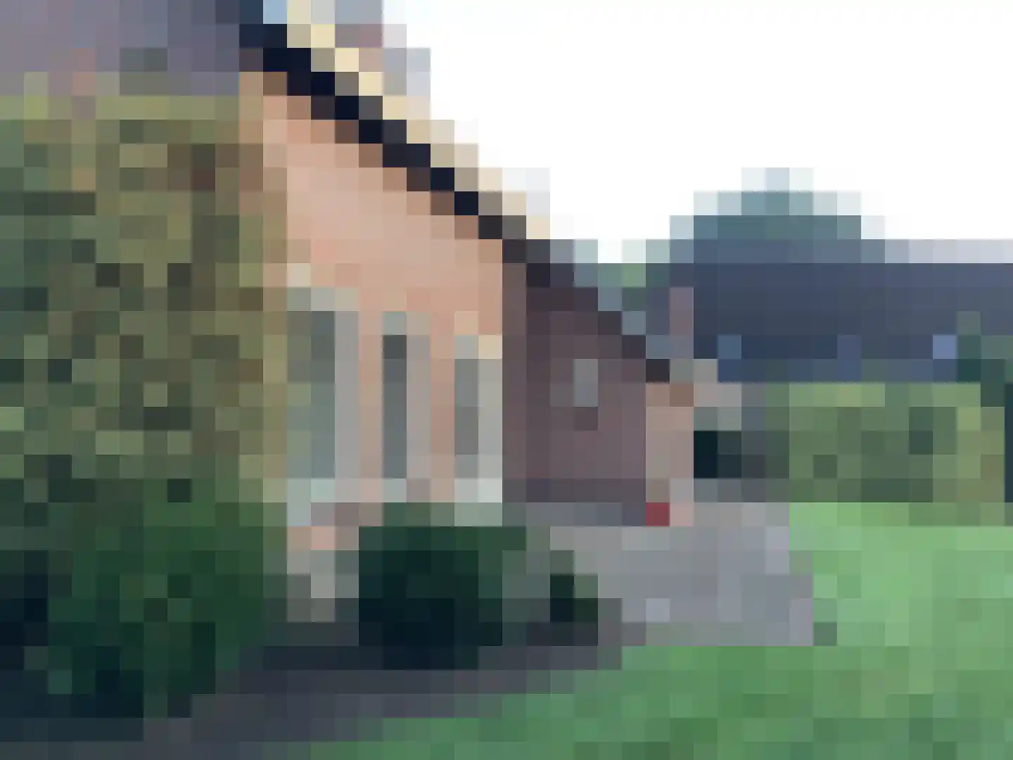 De Horstjens 14 Veghel thumbnail 31