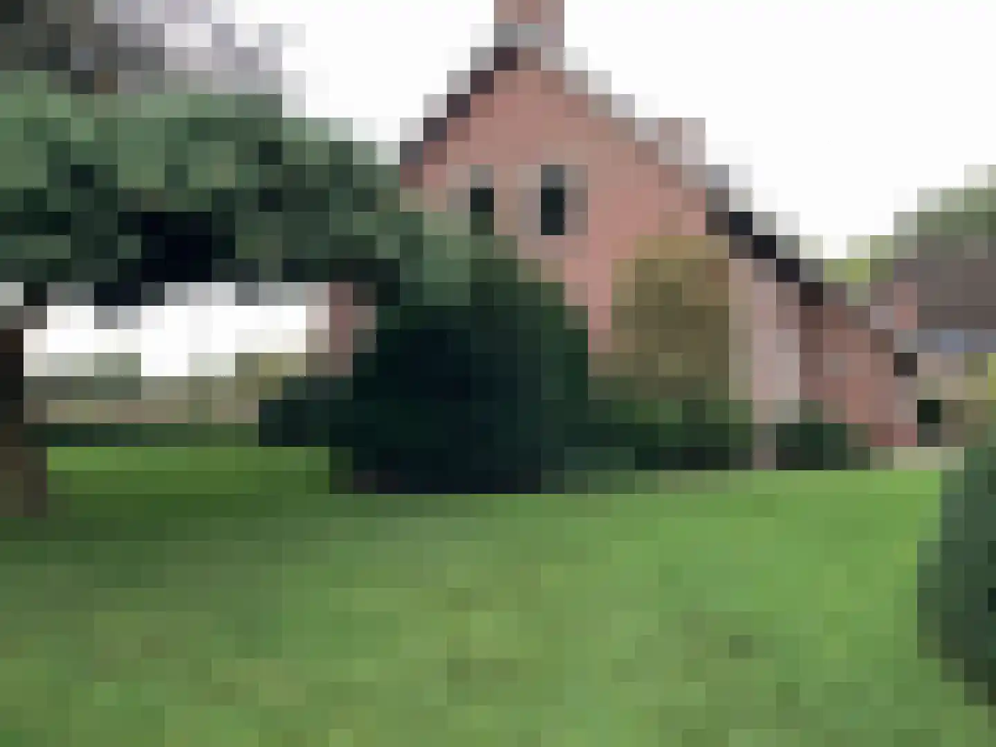 De Horstjens 14 Veghel thumbnail 32