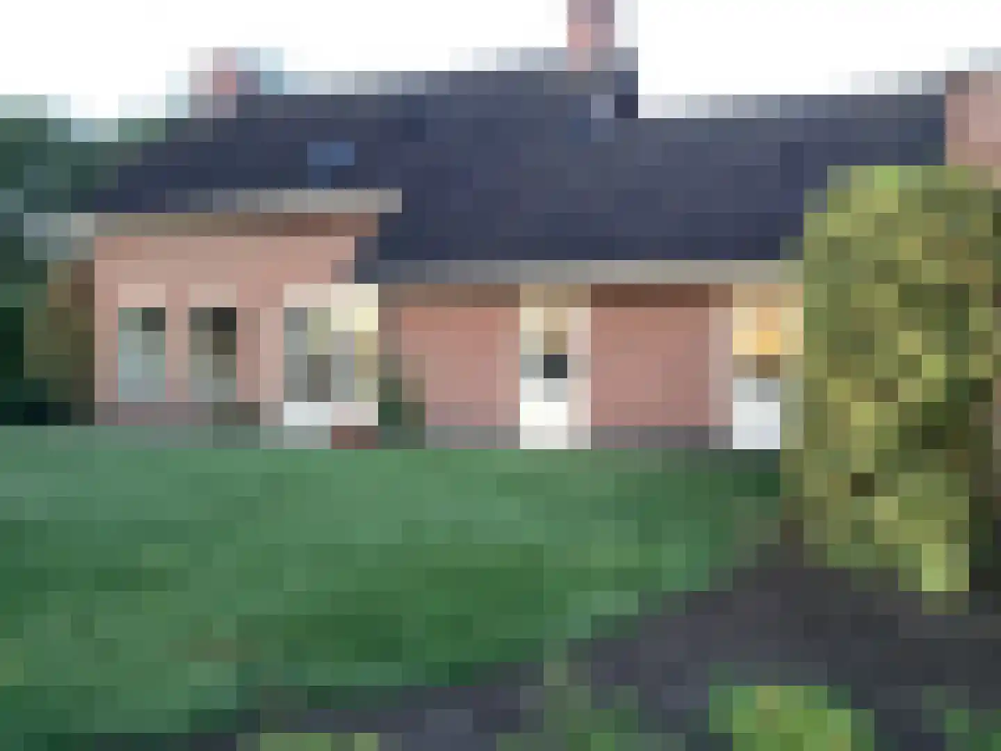 De Horstjens 14 Veghel thumbnail 33