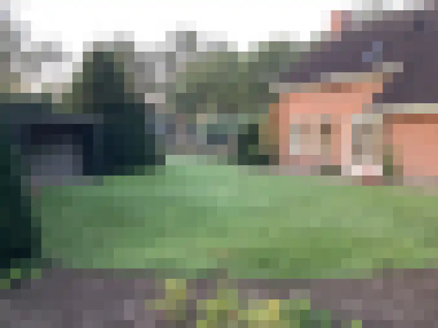 De Horstjens 14 Veghel thumbnail 34