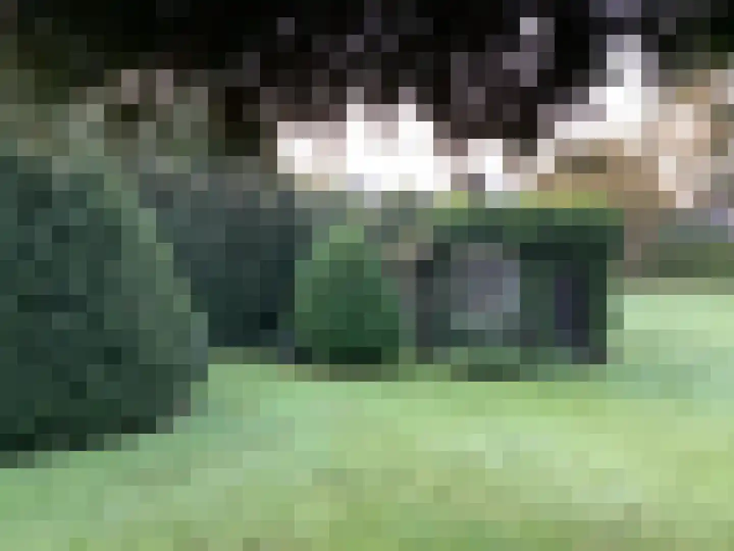De Horstjens 14 Veghel thumbnail 35