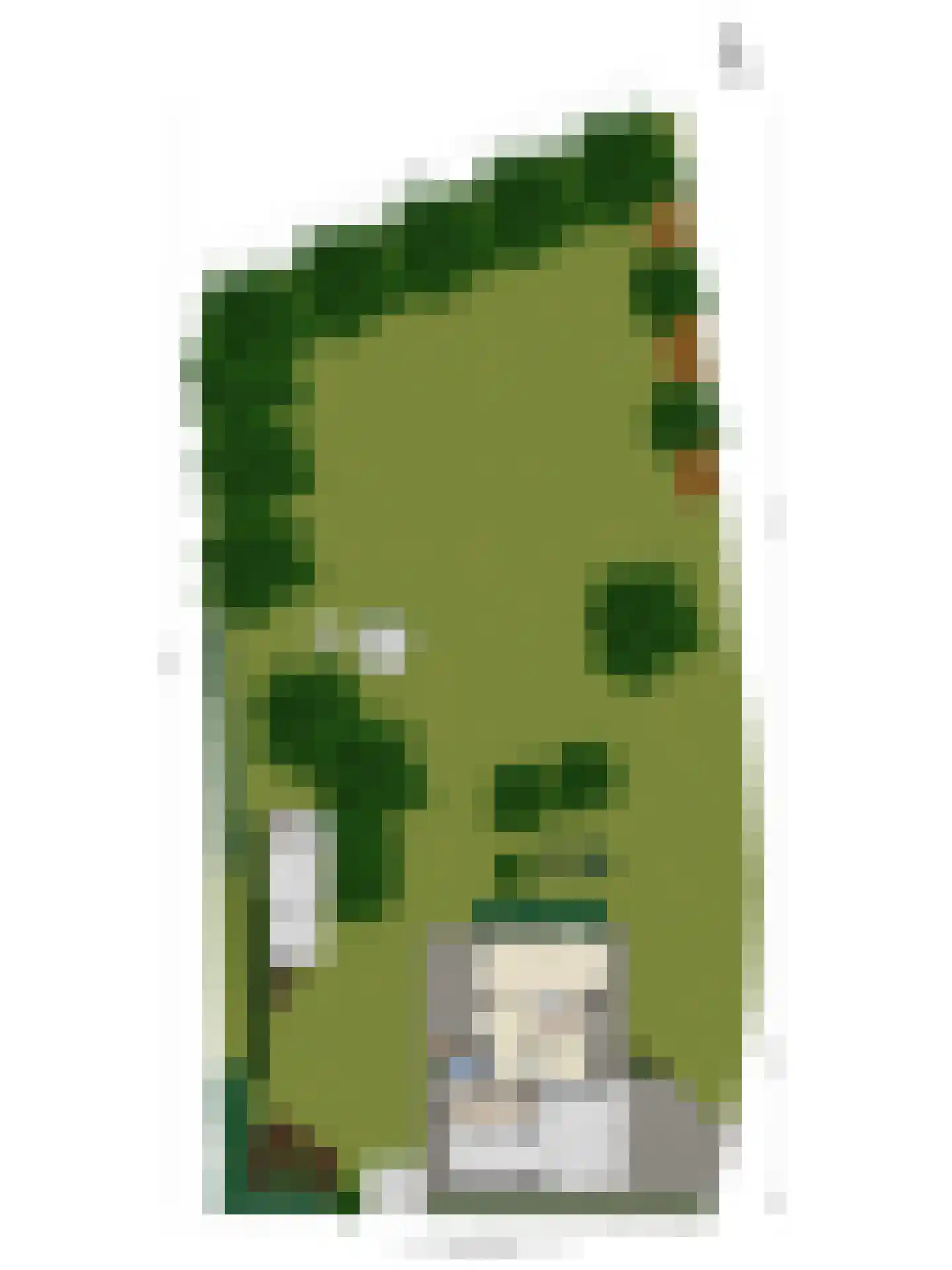 De Horstjens 14 Veghel thumbnail 38