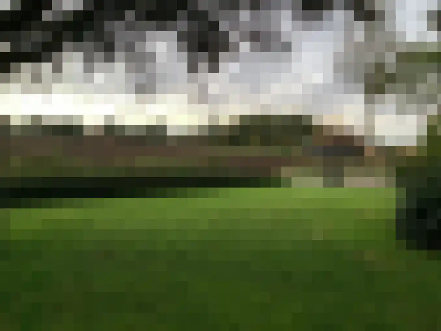 De Horstjens 14 Veghel thumbnail 5