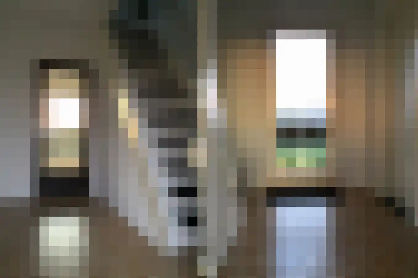 De Horstjens 14 Veghel thumbnail 6