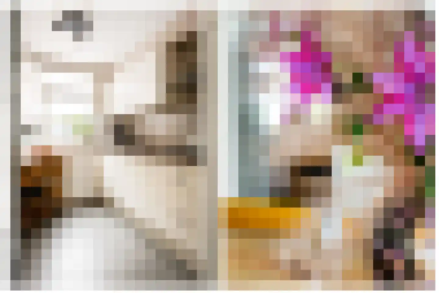 de Hortensia 3 Hoogerheide thumbnail 13