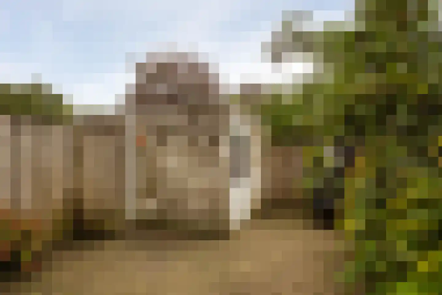 de Hortensia 3 Hoogerheide thumbnail 31