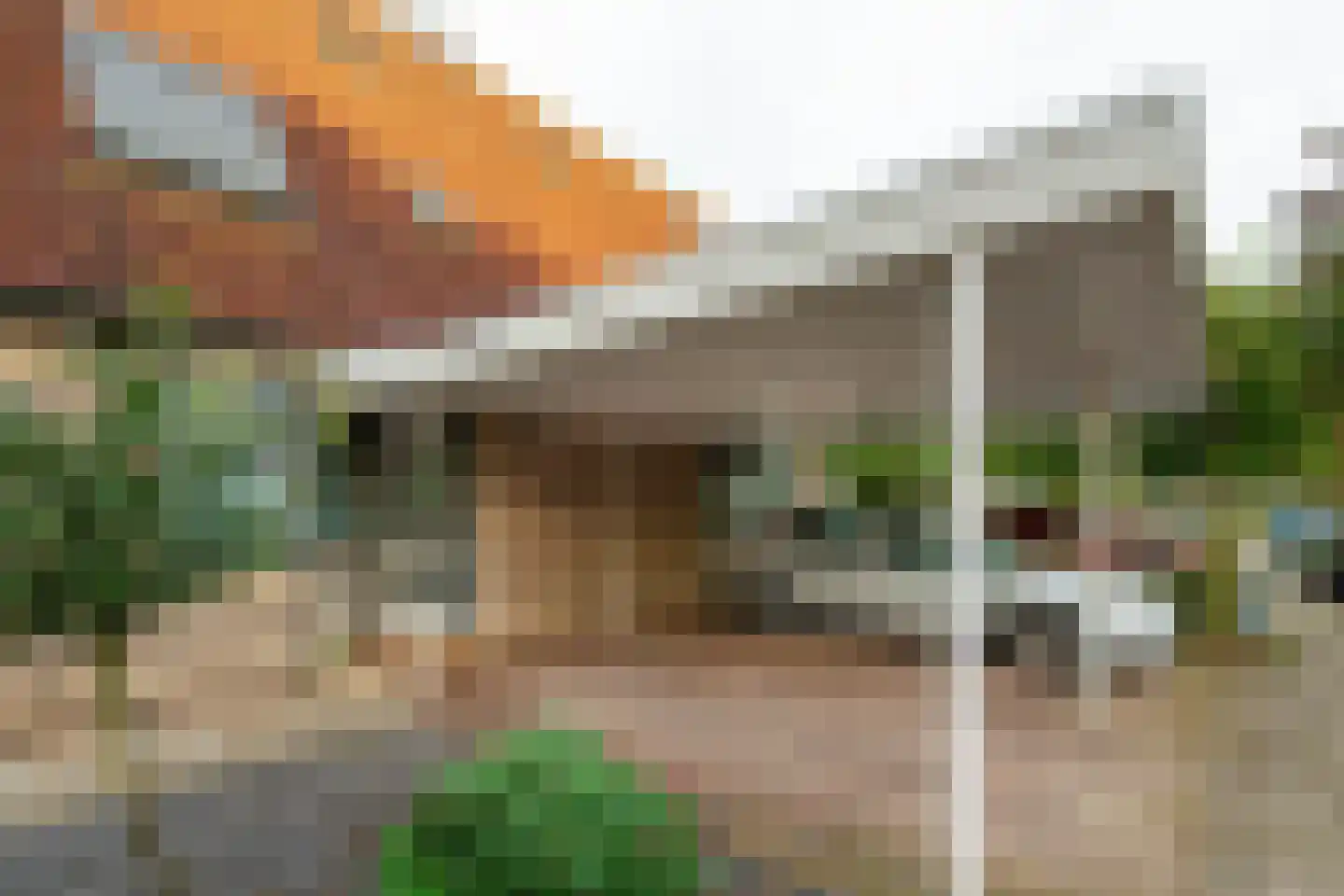 de Hortensia 3 Hoogerheide thumbnail 33