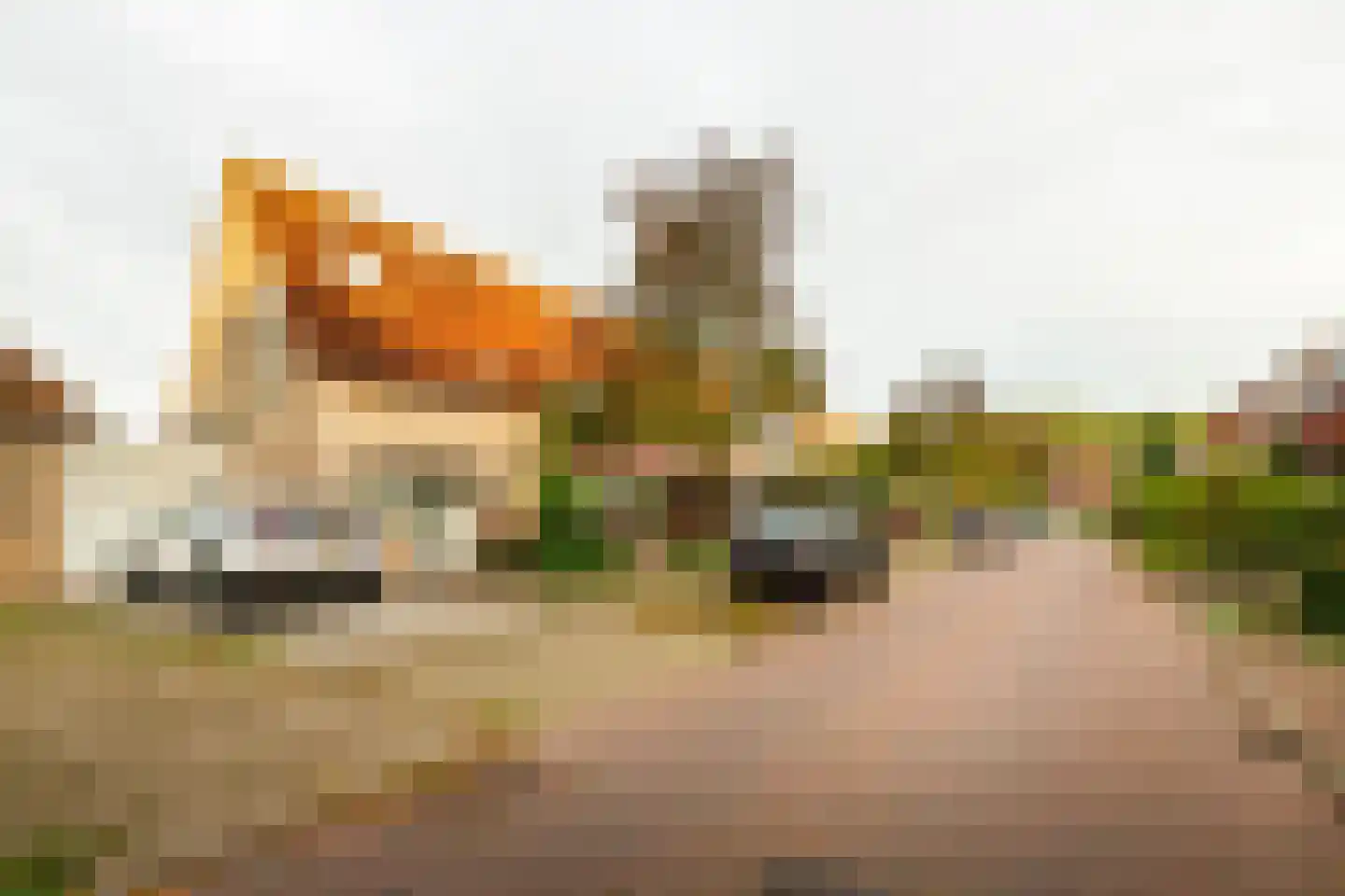 de Hortensia 3 Hoogerheide thumbnail 37