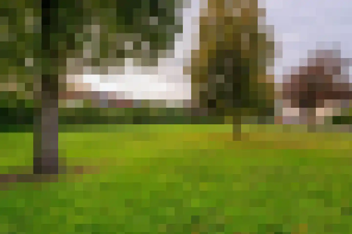 de Hortensia 3 Hoogerheide thumbnail 39