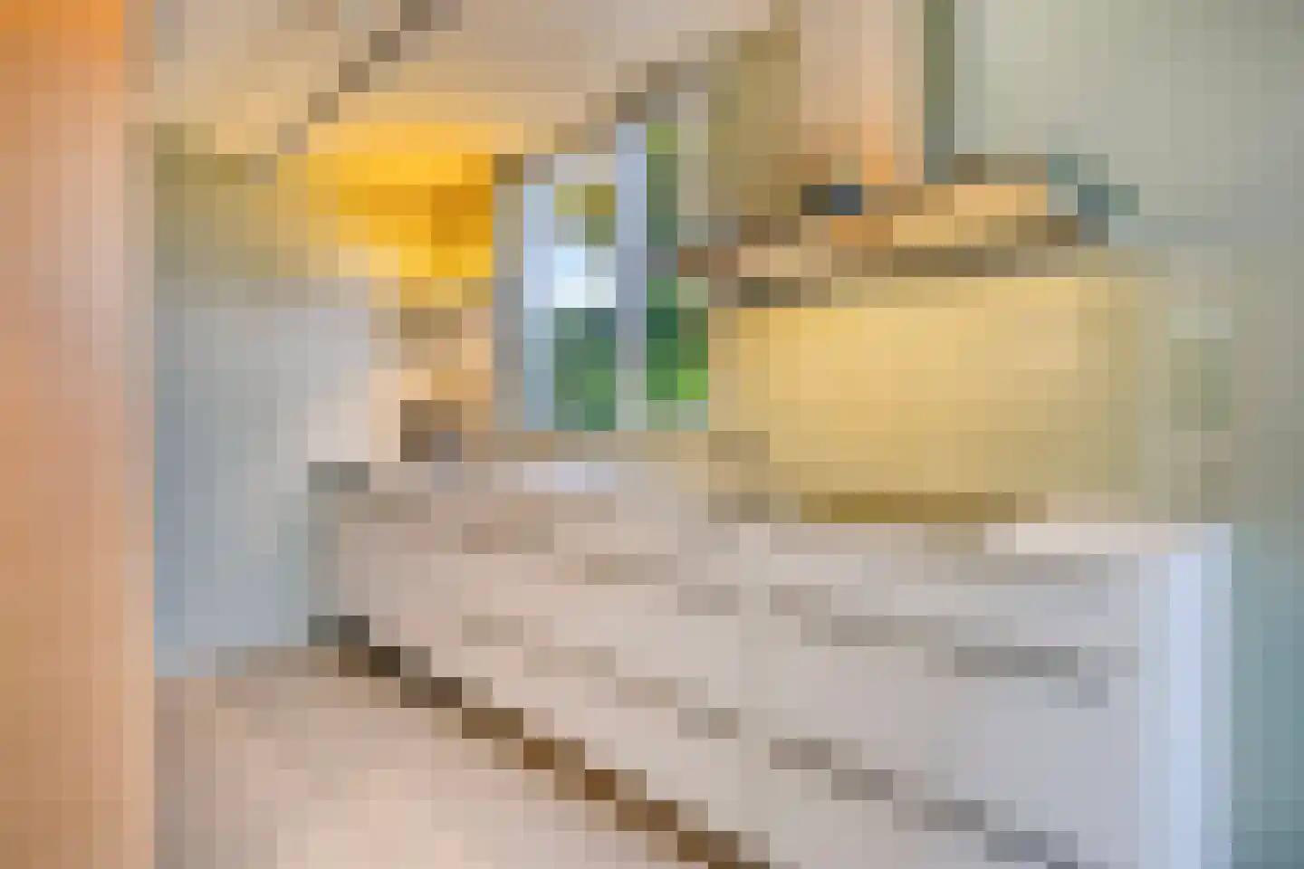 De Horzak 57 Oss thumbnail 10