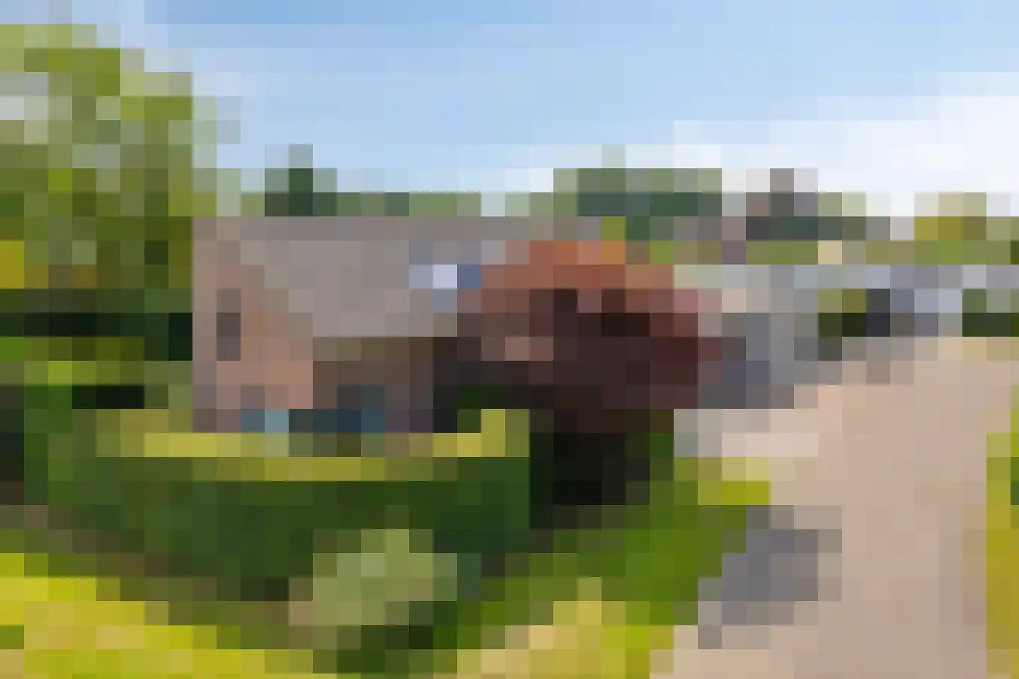 De Horzak 57 Oss thumbnail 27