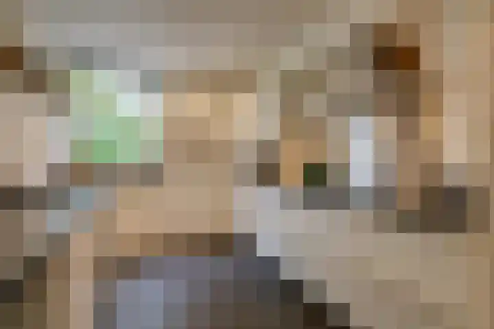 De Hosterd 3 Heumen thumbnail 12