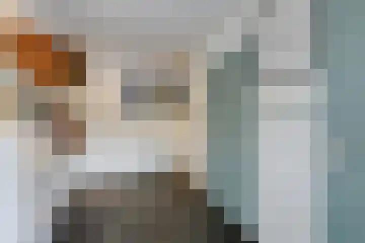 De Hosterd 3 Heumen thumbnail 19