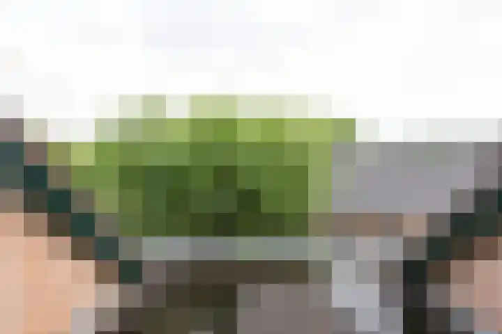 De Hosterd 3 Heumen thumbnail 34