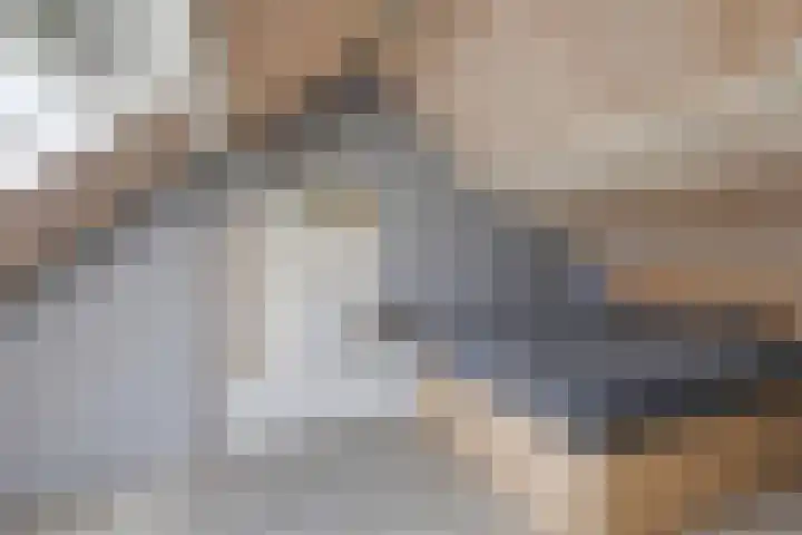 De Hosterd 3 Heumen thumbnail 37