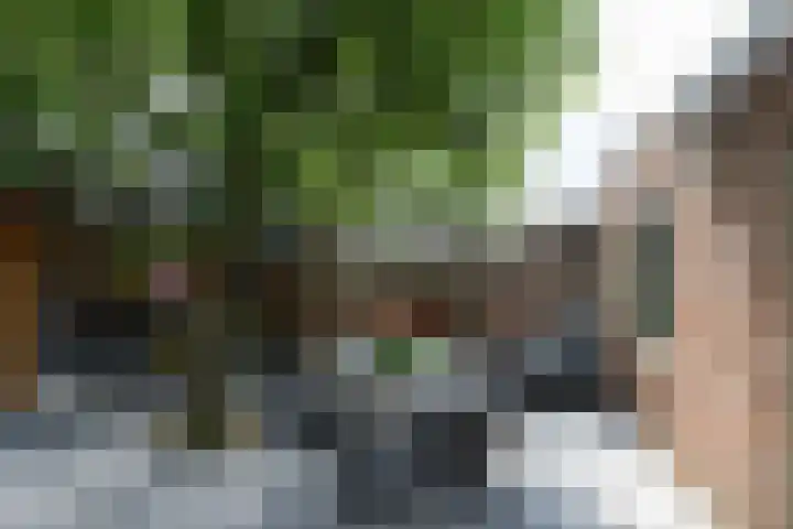 De Hosterd 3 Heumen thumbnail 53