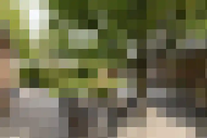 De Hosterd 3 Heumen thumbnail 54