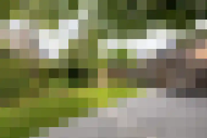 De Hosterd 3 Heumen thumbnail 55