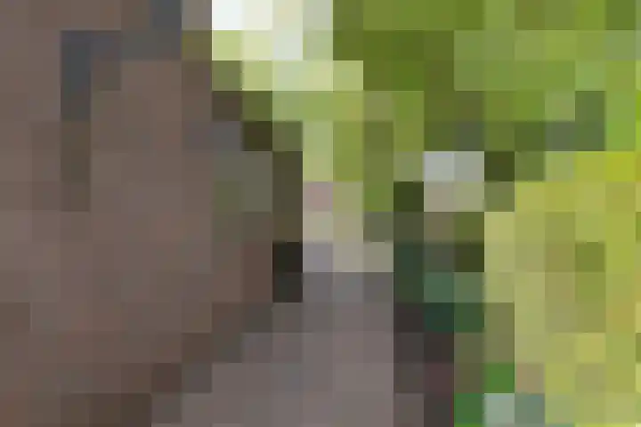 De Hosterd 3 Heumen thumbnail 57
