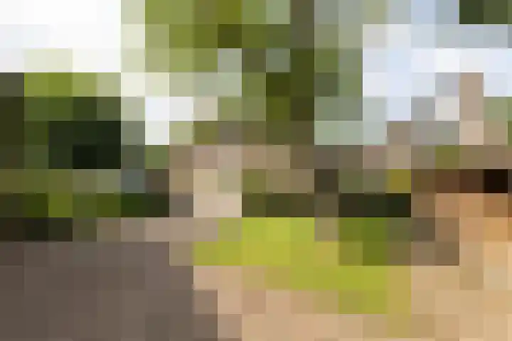 De Hosterd 3 Heumen thumbnail 58