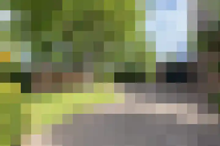 De Hosterd 3 Heumen thumbnail 59