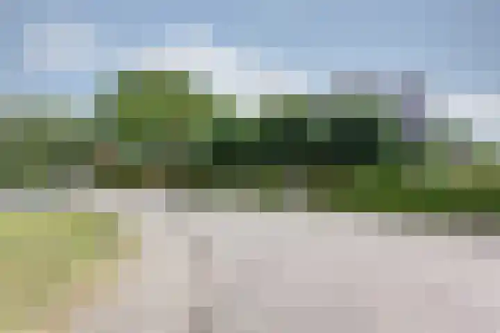 De Hosterd 3 Heumen thumbnail 60