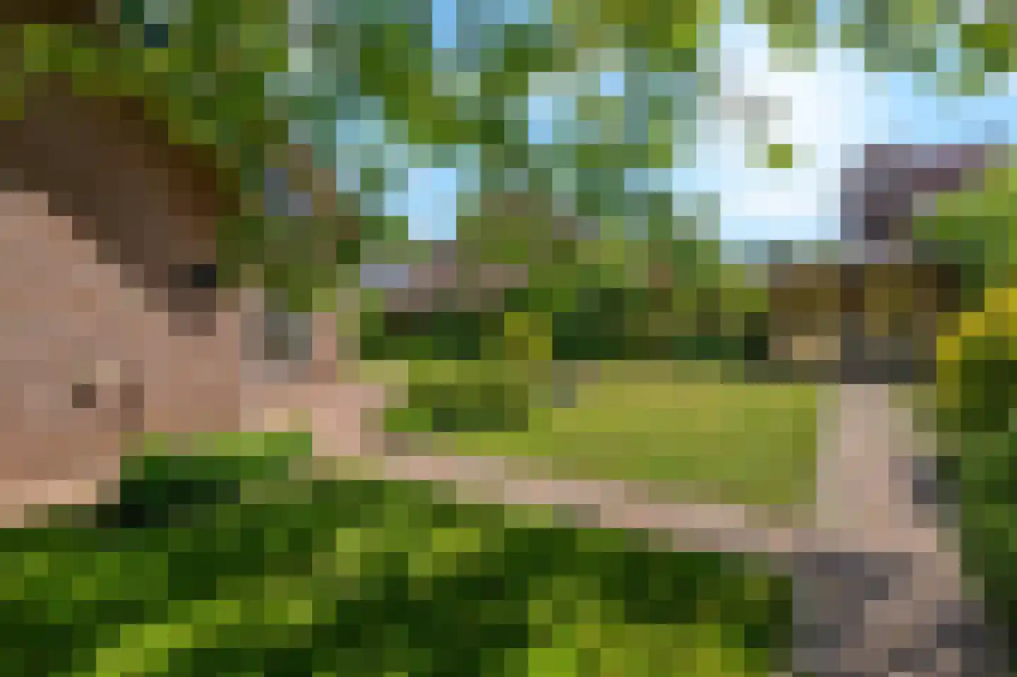De Hosterd 49 Heumen thumbnail 39