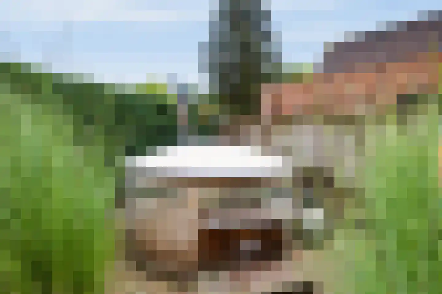 De Hosterd 84 Heumen thumbnail 15