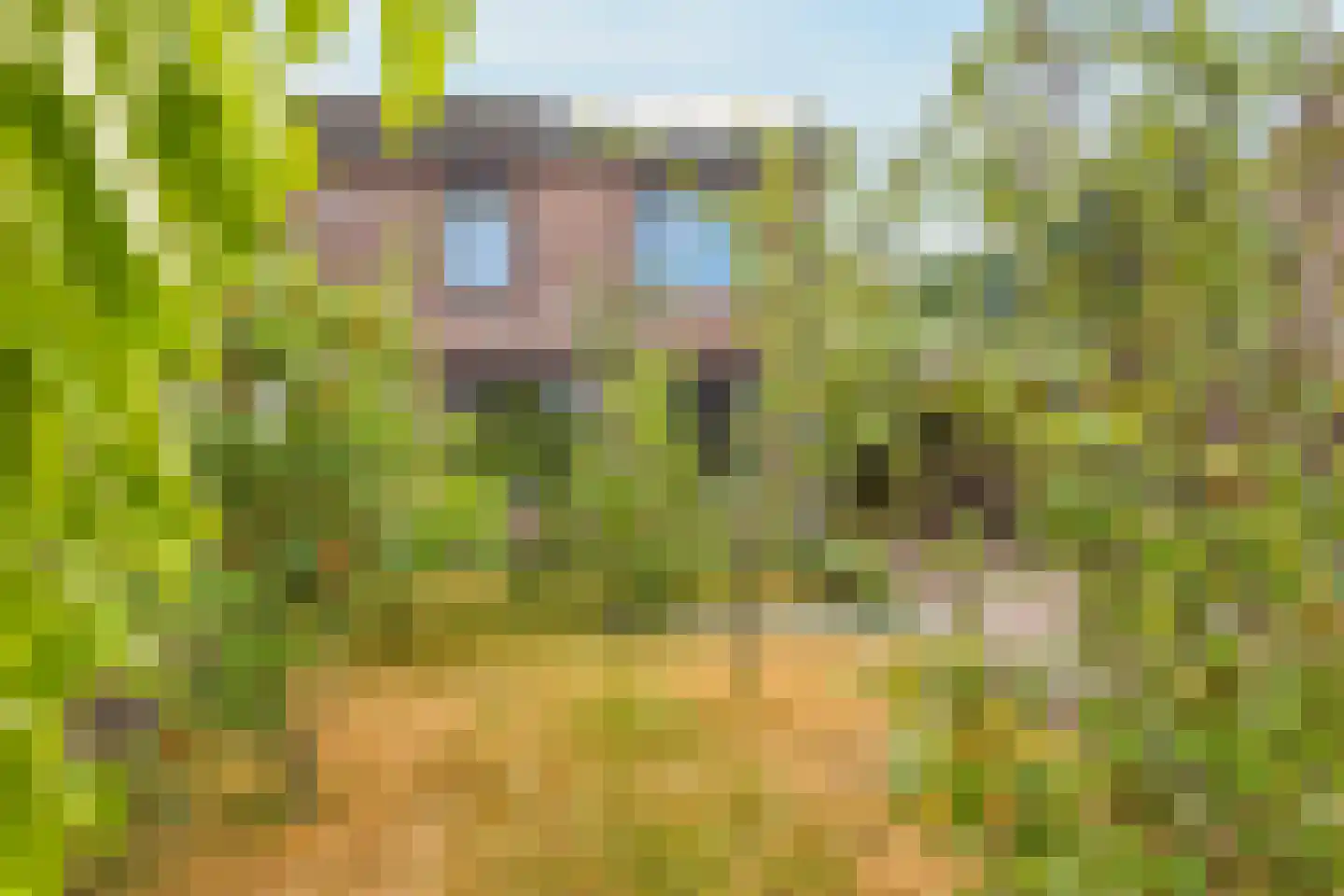 De Hosterd 84 Heumen thumbnail 23