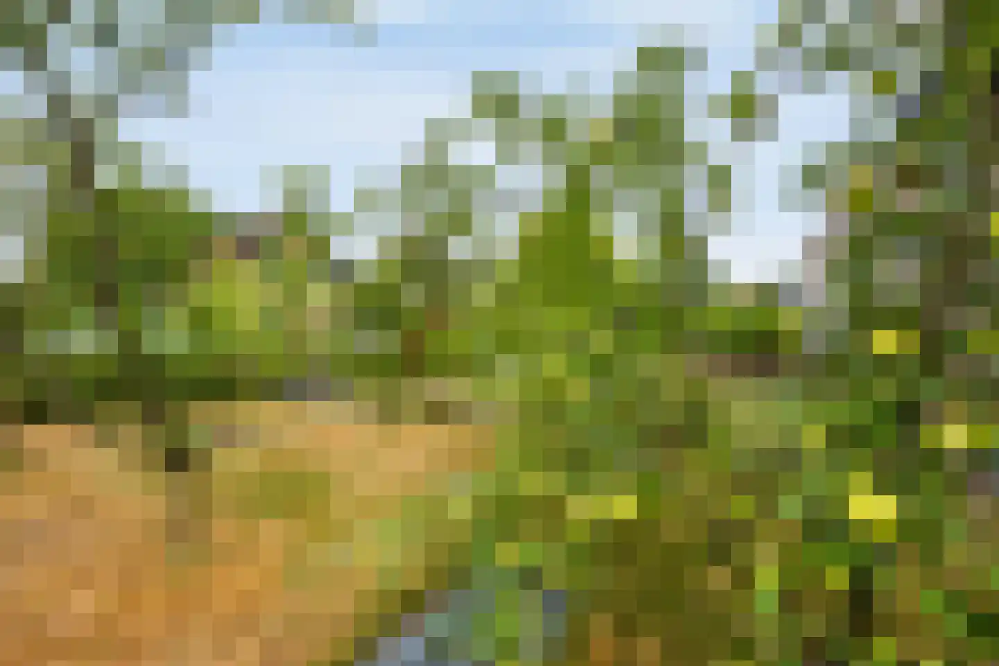 De Hosterd 84 Heumen thumbnail 24