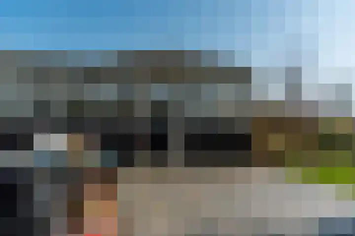 De Hout 31 Hem thumbnail 100