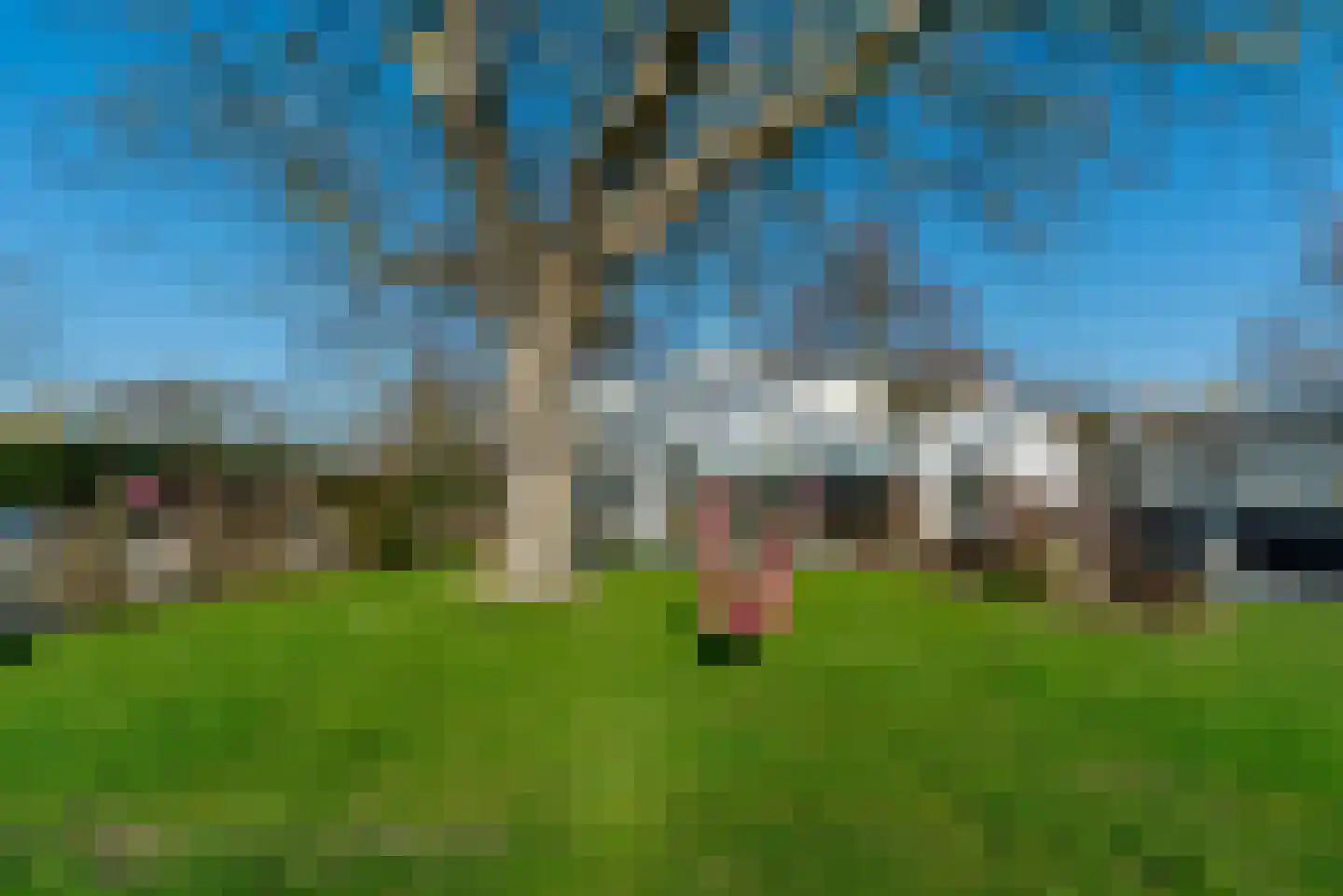 De Hout 31 Hem thumbnail 101