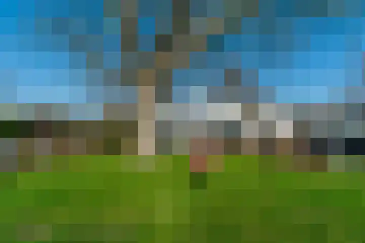 De Hout 31 Hem thumbnail 101