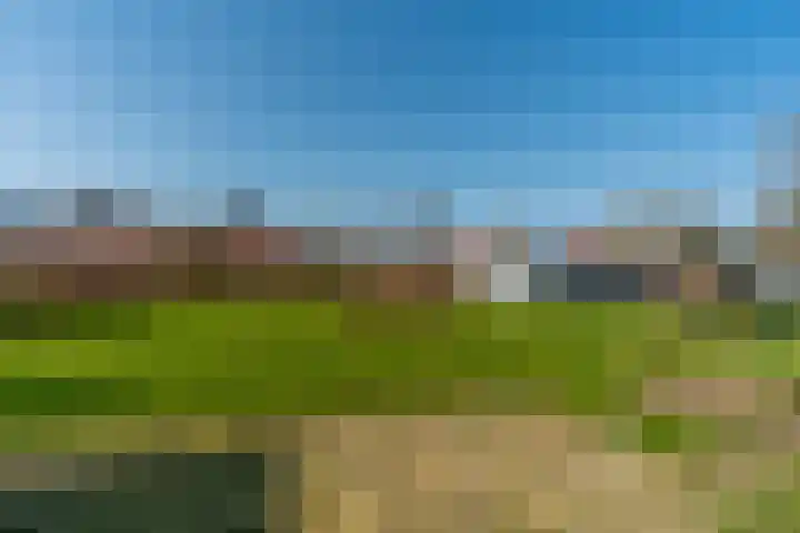 De Hout 31 Hem thumbnail 102