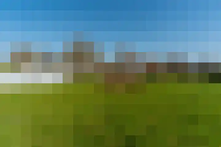 De Hout 31 Hem thumbnail 103