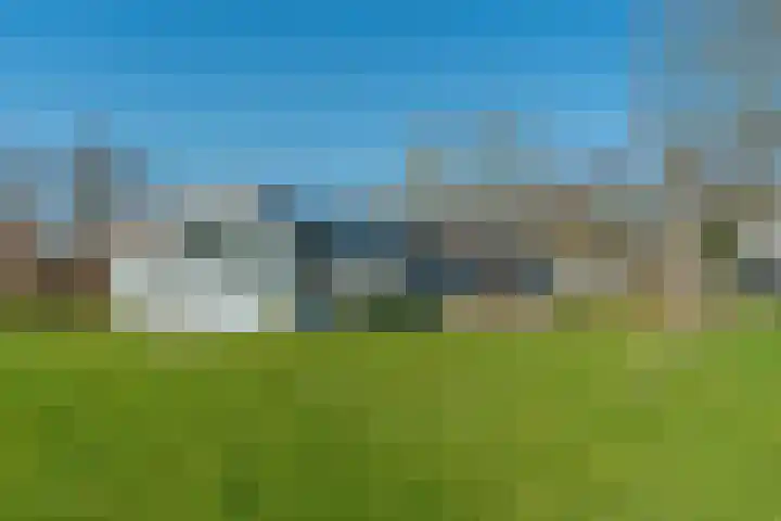 De Hout 31 Hem thumbnail 104