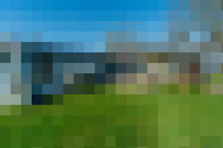 De Hout 31 Hem thumbnail 105