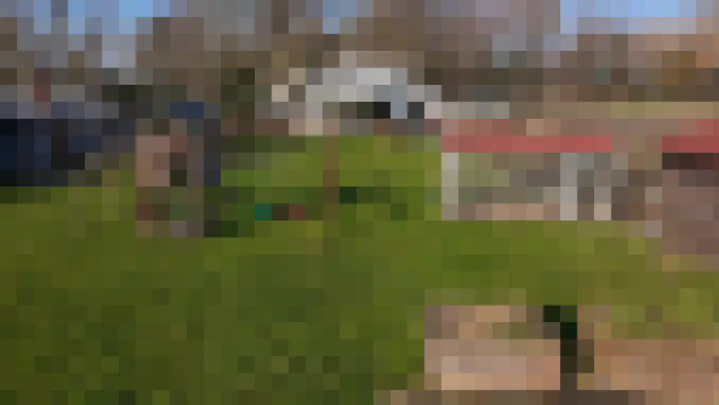 De Hout 31 Hem thumbnail 111