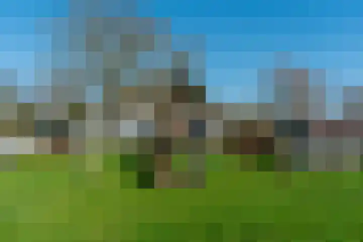 De Hout 31 Hem thumbnail 112