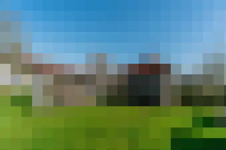 De Hout 31 Hem thumbnail 113