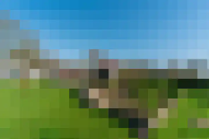 De Hout 31 Hem thumbnail 114