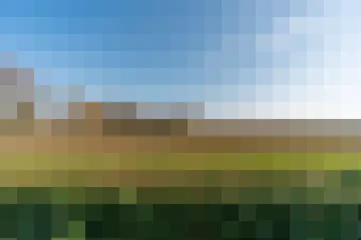 De Hout 31 Hem thumbnail 115
