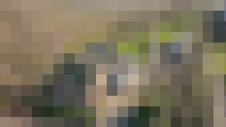 De Hout 31 Hem thumbnail 116