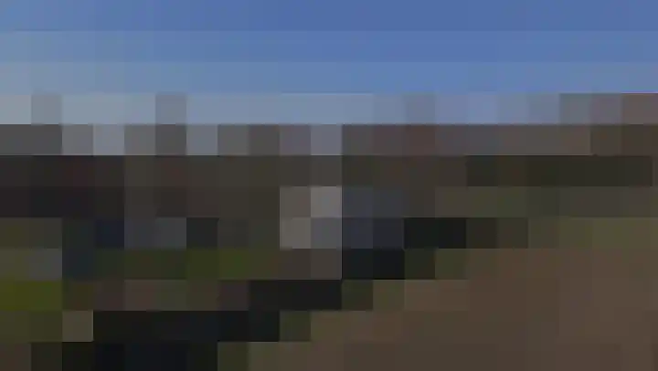 De Hout 31 Hem thumbnail 117